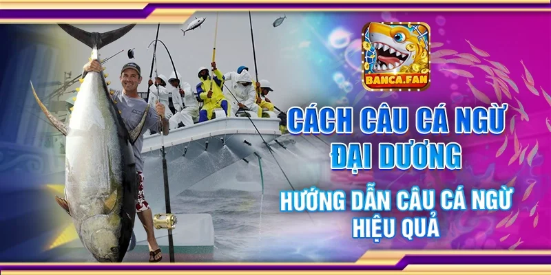 Cách Câu Cá Ngừ Đại Dương – Hướng Dẫn Câu Cá Ngừ Hiệu Quả
