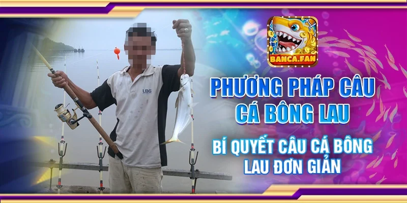Phương pháp câu cá bông lau – Bí quyết câu cá bông lau đơn giản