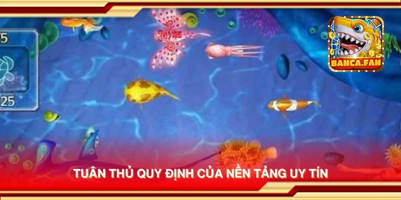 Tuân thủ quy định của nền tảng uy tín