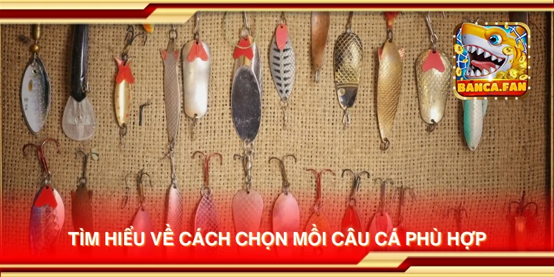 Tìm hiểu về cách chọn mồi câu cá phù hợp