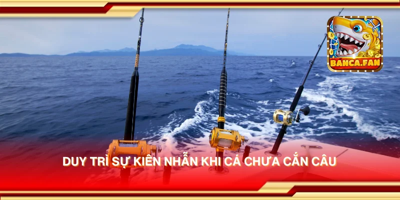 Duy trì sự kiên nhẫn khi cá chưa cắn câu