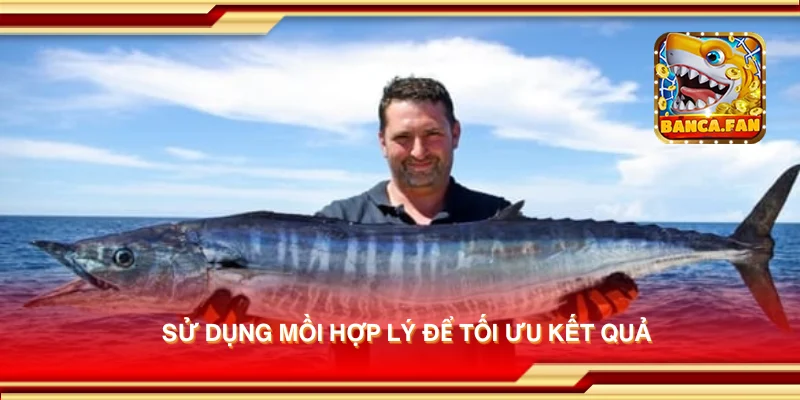 Sử dụng mồi hợp lý để tối ưu kết quả