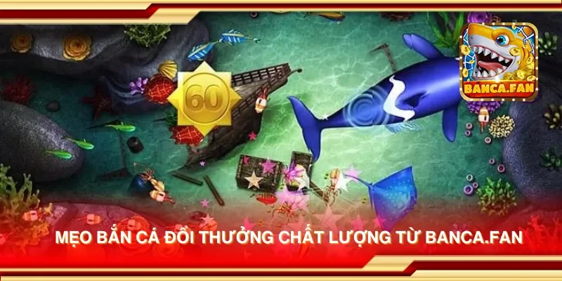 Mẹo bắn cá đổi thưởng chất lượng từ acima.co.com