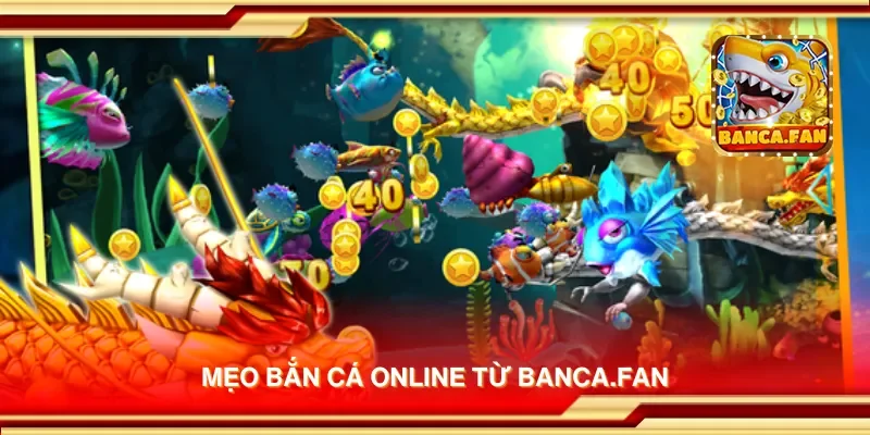 Mẹo bắn cá online từ acima.co.com