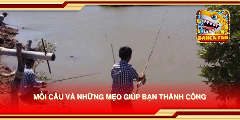 Mồi câu và những mẹo giúp bạn thành công