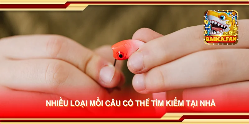 Nhiều loại mồi câu có thể tìm kiếm tại nhà