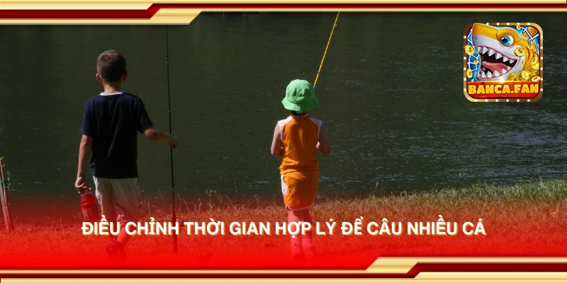 Điều chỉnh thời gian hợp lý để câu nhiều cá