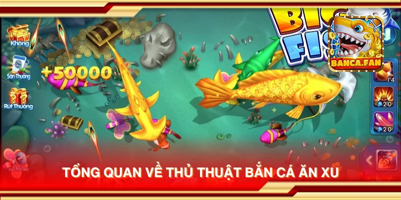 Tổng quan về thủ thuật bắn cá ăn xu