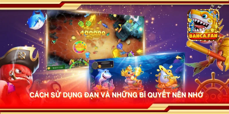 Cách sử dụng đạn và những bí quyết nên nhớ