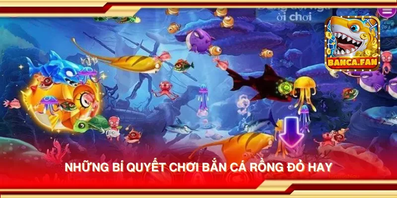 Bí Quyết Chơi Bắn Cá Rồng Đỏ Để Giành Thưởng Lớn